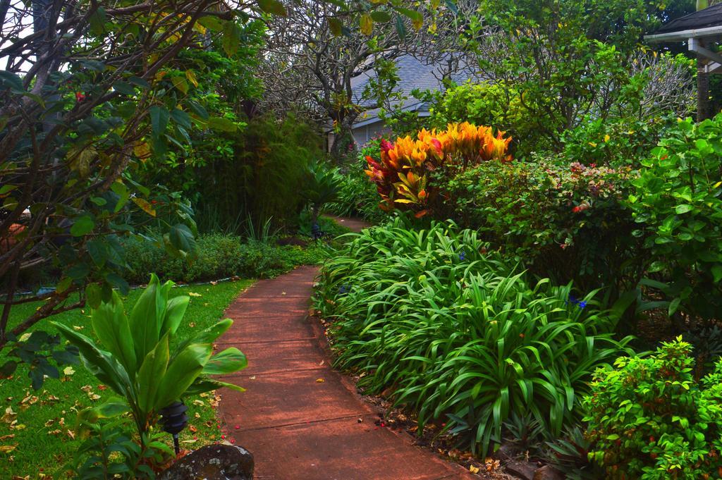 Banyan Tree B&B Retreat Makawao Buitenkant foto